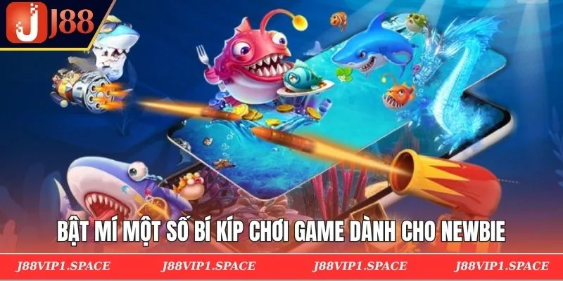 Bật mí một số bí kíp chơi game dành cho newbie