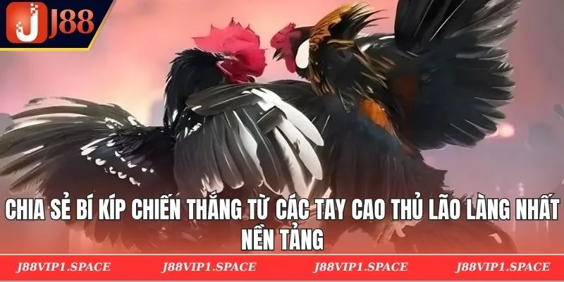 Chia sẻ bí kíp chiến thắng từ các tay cao thủ lão làng nhất nền tảng