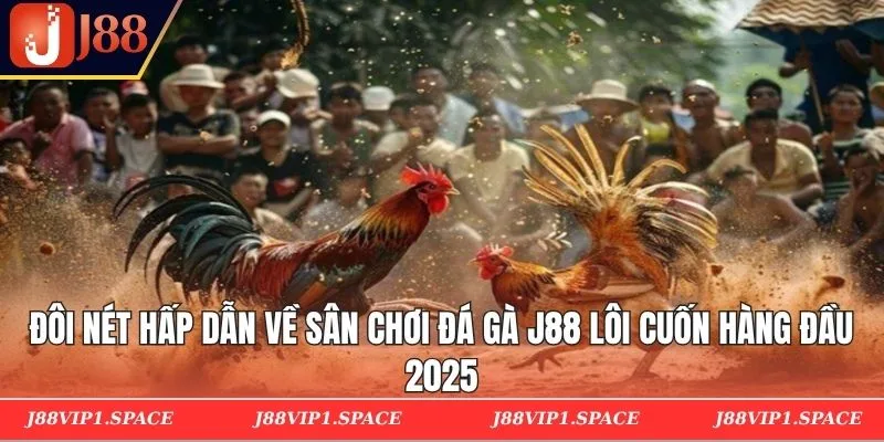 Đôi nét hấp dẫn về sân chơi đá gà J88 lôi cuốn hàng đầu 2025