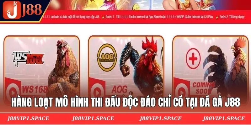 Hàng loạt mô hình thi đấu độc đáo chỉ có tại đá gà J88