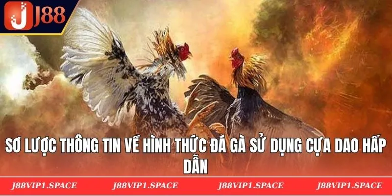 Sơ lược thông tin về hình thức đá gà  sử dụng cựa dao hấp dẫn