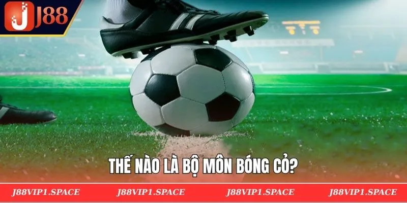 Thế nào là bộ môn bóng cỏ?
